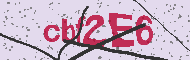 Codice captcha